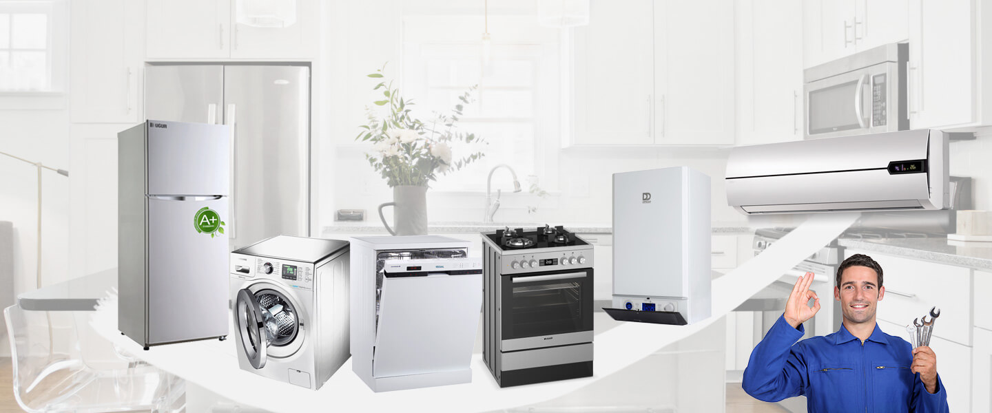 Söğüt Warmhaus Servisi